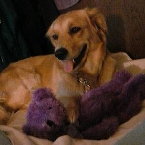 Meet your Posher, Laurie